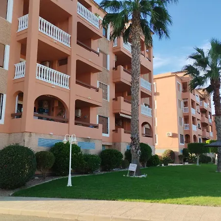 Violetas - Golf Villamartin * Oriola (Orihuela)
