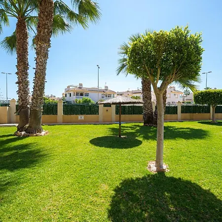 Violetas * Dehesa de Campoamor (Orihuela Costa)